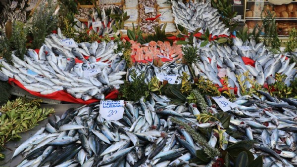 Hangi Ayda Hangi Balık Yenir?